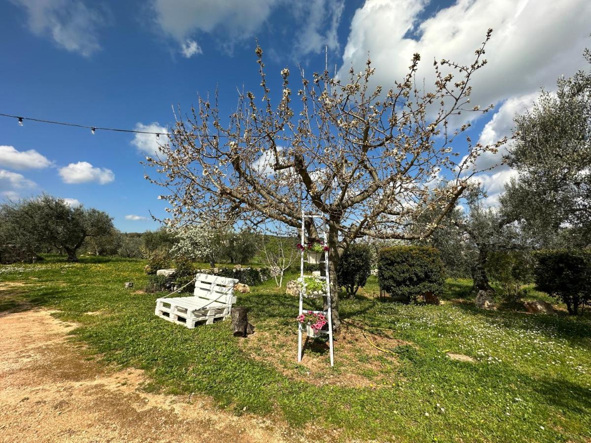 Trulli Barsento Guest House Alberobello Exterior photo